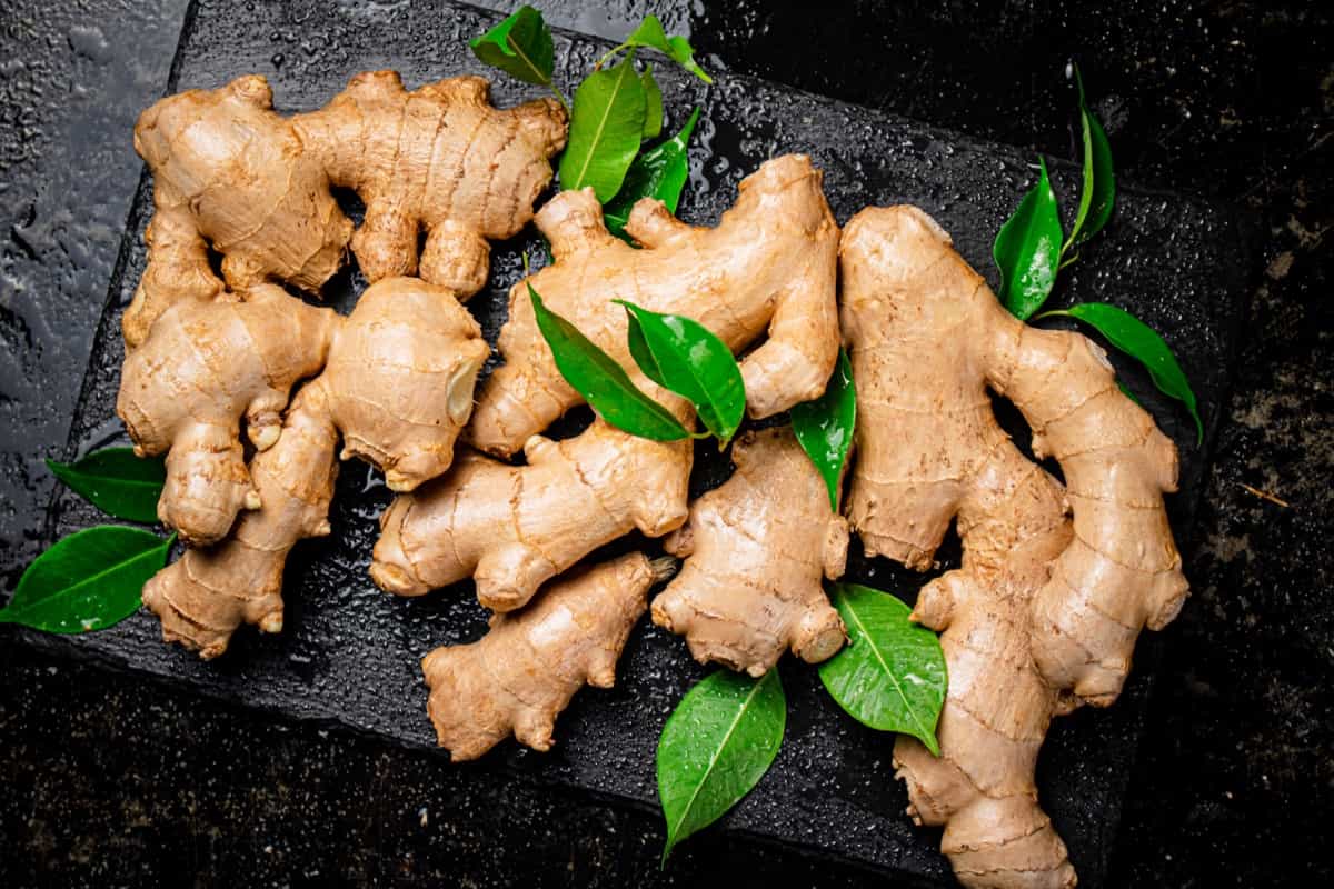 Ginger