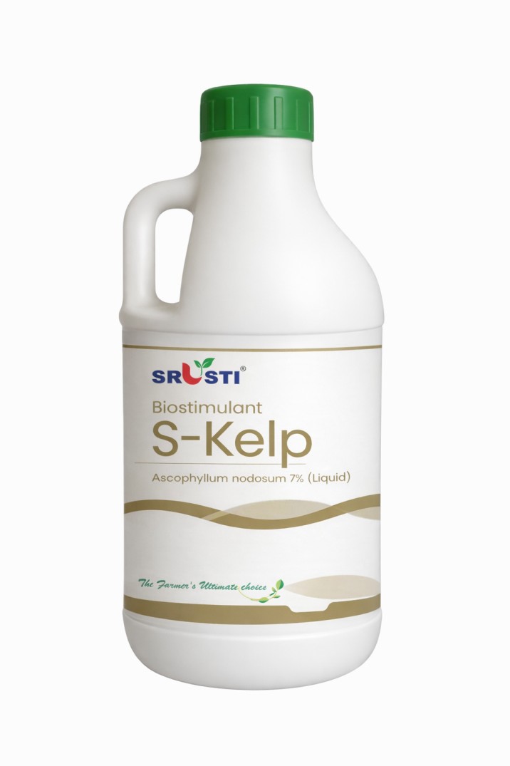 S-Kelp